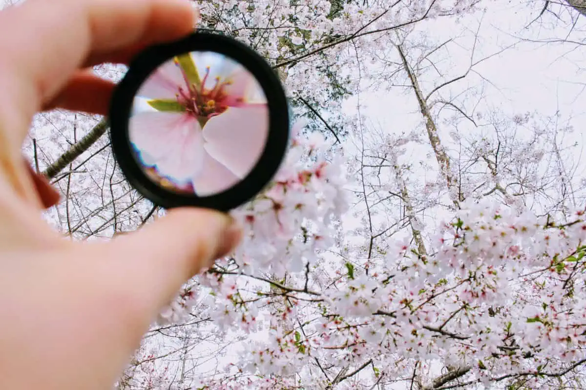 person holding round framed mirror near tree at daytime 979927 scaled Summit Prep